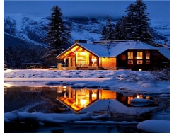 �l���ַN� ���������̡�